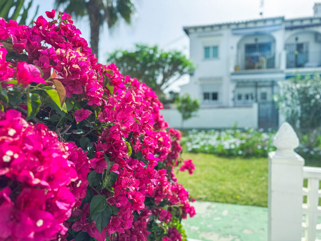 Bungalow w Torrevieja - oferta MLSC4926088