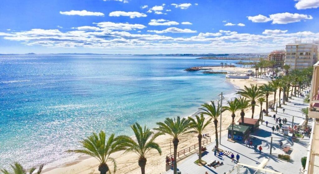 Bungalow w Torrevieja - oferta N6848