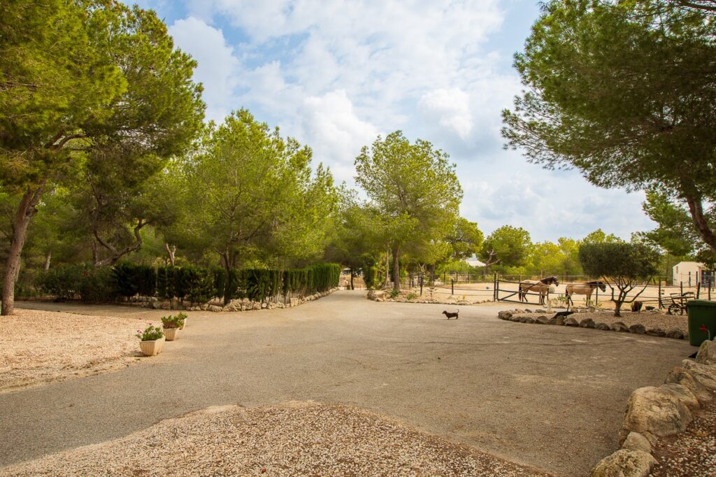 Country House w Torremendo - oferta MLSC4350693
