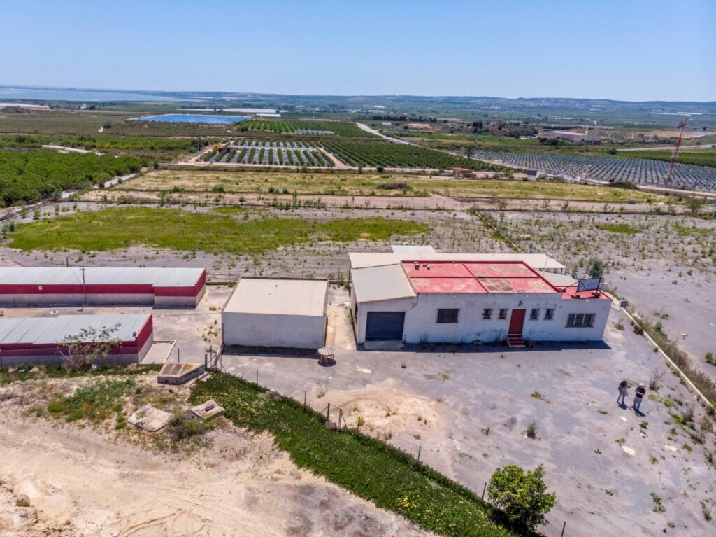 Finca w Los Montesinos - oferta MLSC7930175
