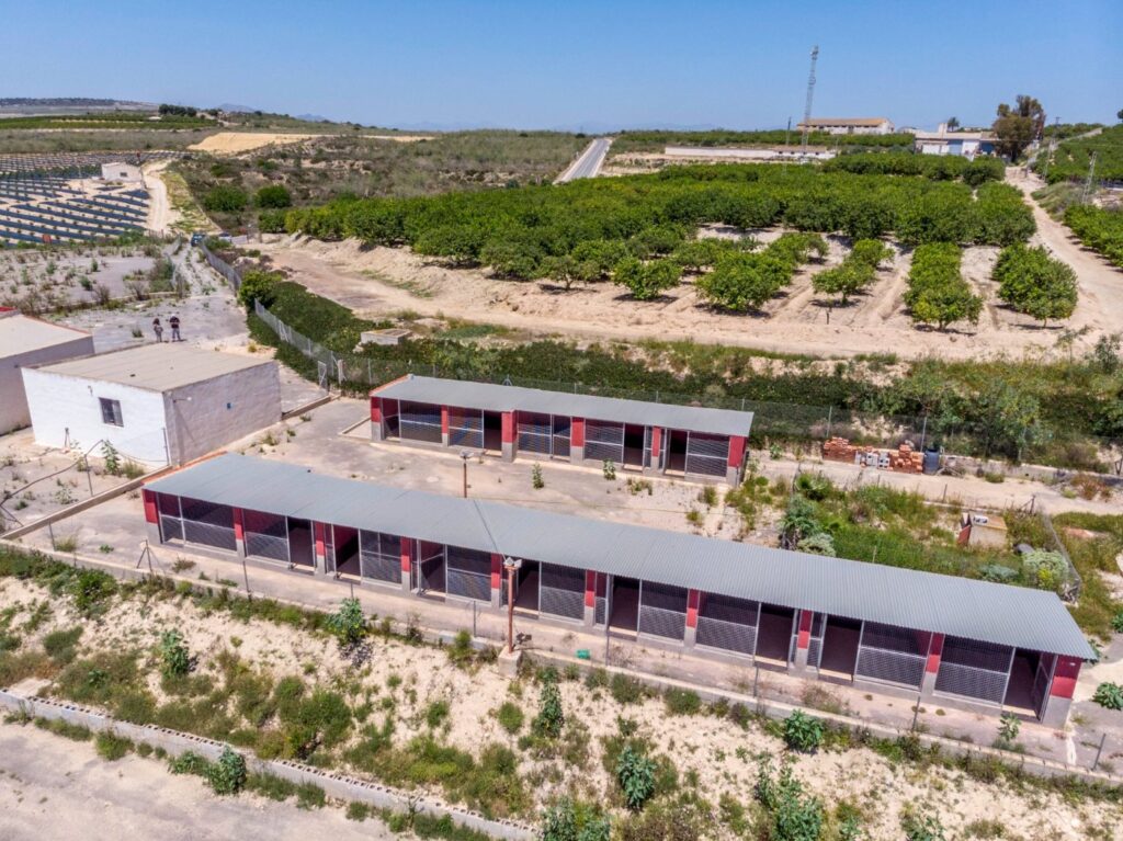 Finca w Los Montesinos - oferta MLSC7930175