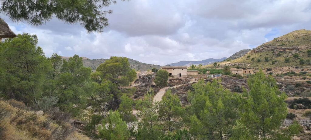 Land w Murcia - oferta MLSC5393680