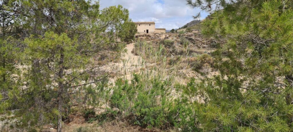 Land w Murcia - oferta MLSC5393680