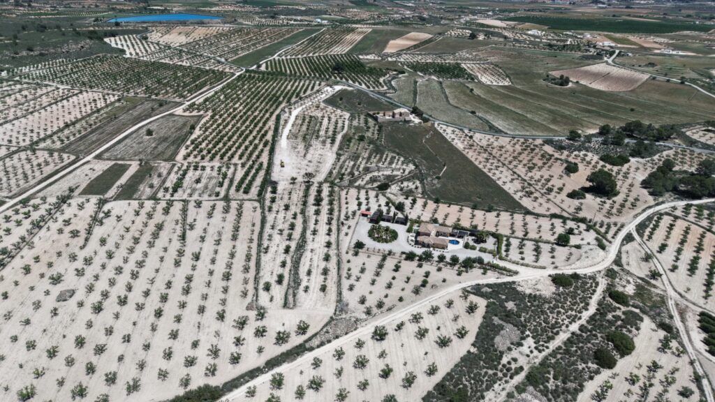 Land w Pinoso - oferta MLSC9750486