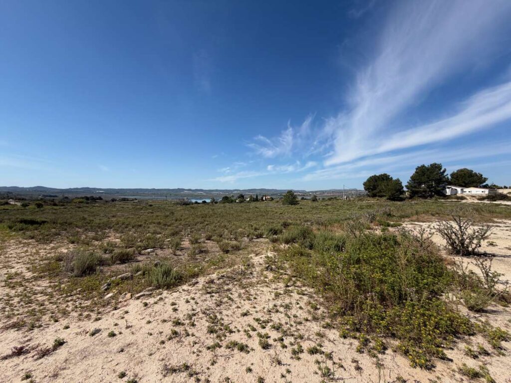 Land w Torremendo - oferta MLSC7136872