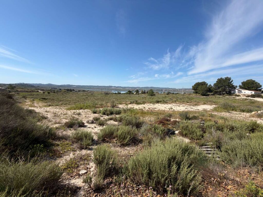Land w Torremendo - oferta MLSC7136872
