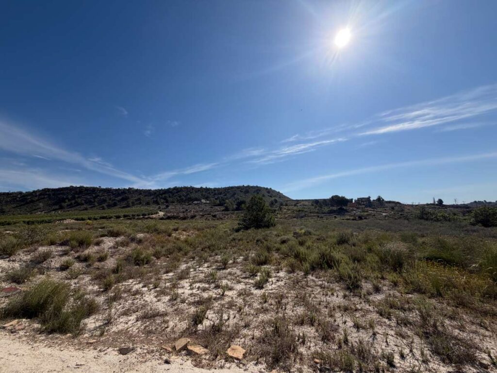 Land w Torremendo - oferta MLSC7136872