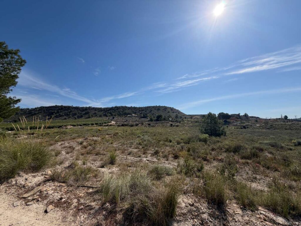Land w Torremendo - oferta MLSC7136872