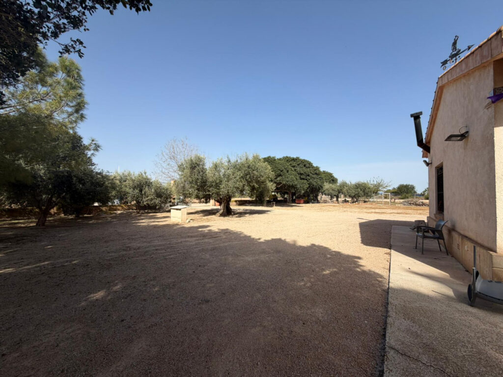 Property w Torre Pacheco - oferta MLSC309917