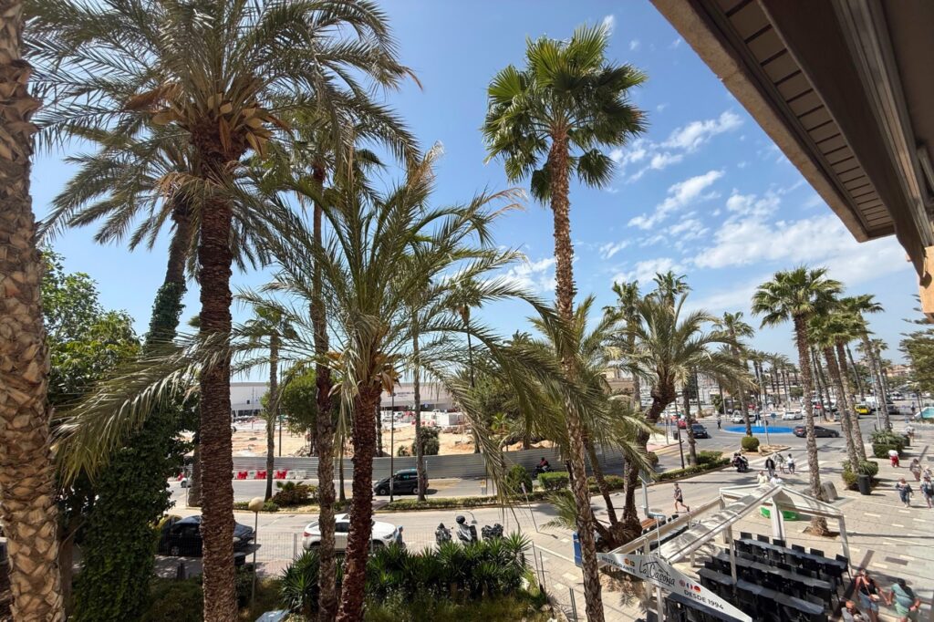Apartment w Torrevieja - oferta MLSC9532778