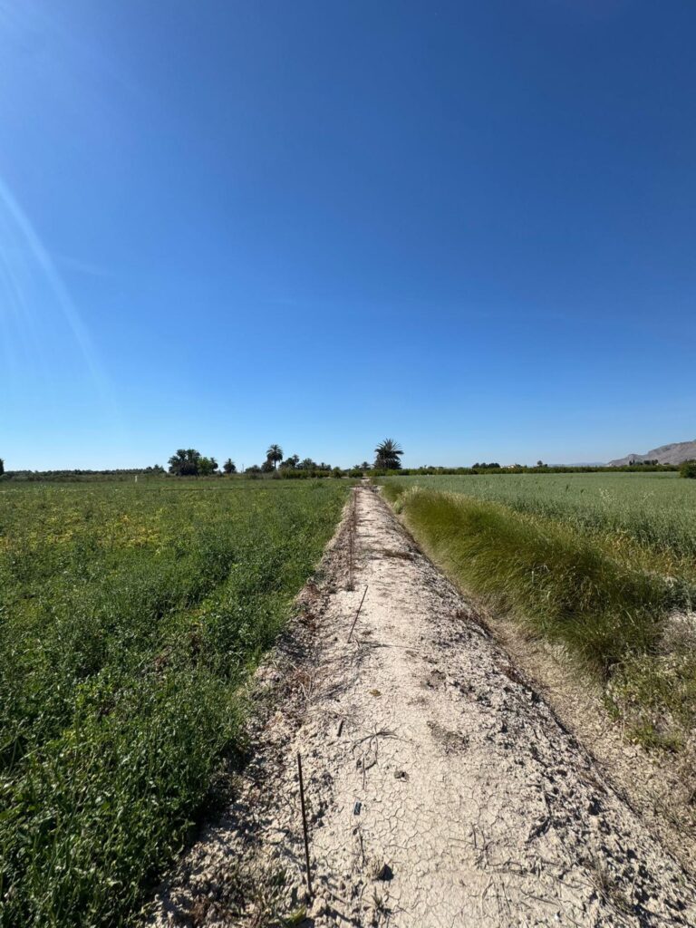 Finca w Granja de Rocamora - oferta MLSC4805668