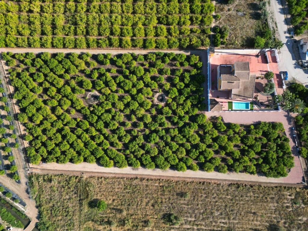 Finca w Orihuela - oferta MLSC7601485
