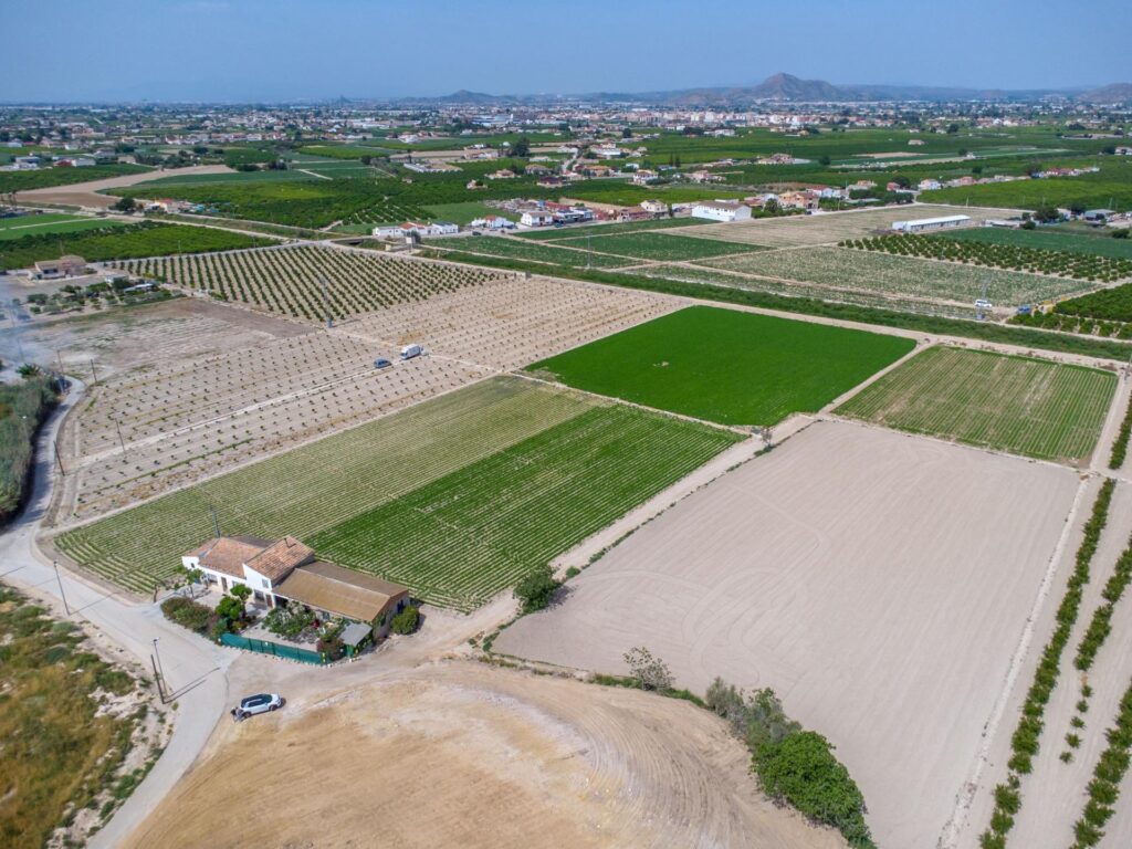 Finca w Orihuela - oferta MLSC9689458