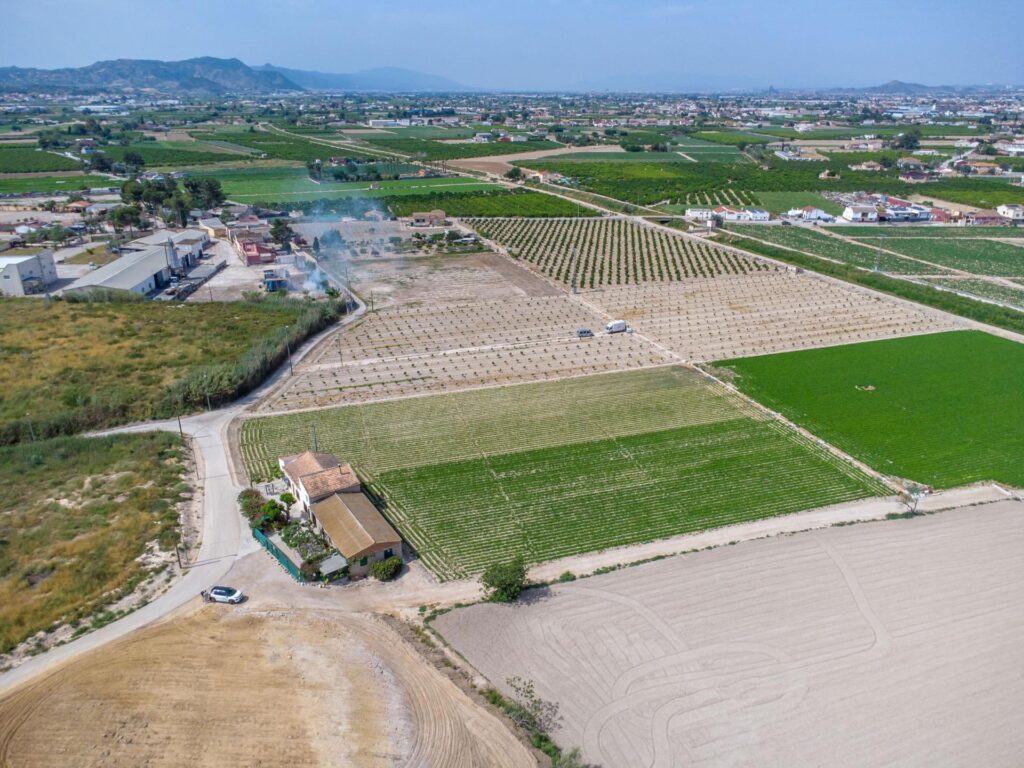Finca w Orihuela - oferta MLSC9689458