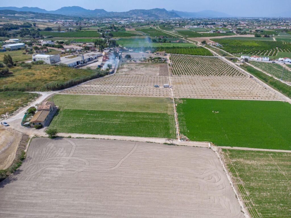 Finca w Orihuela - oferta MLSC9689458