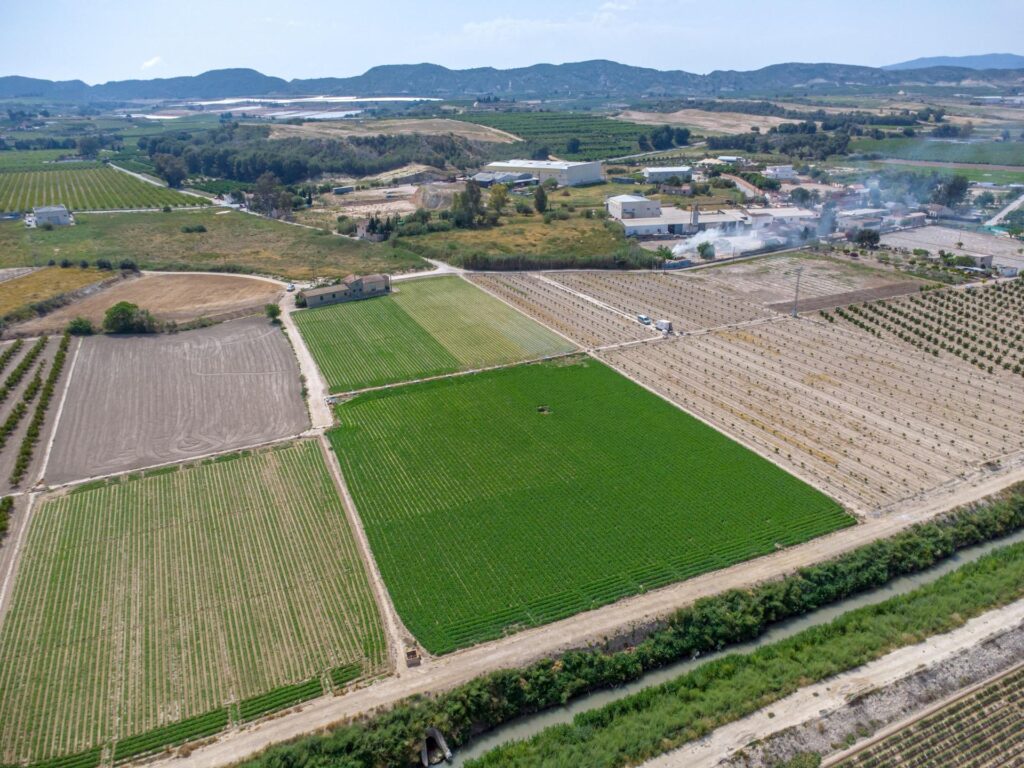 Finca w Orihuela - oferta MLSC9689458