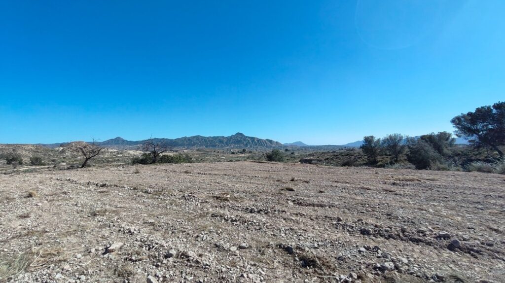 Land w Abanilla - oferta MLSC3315335