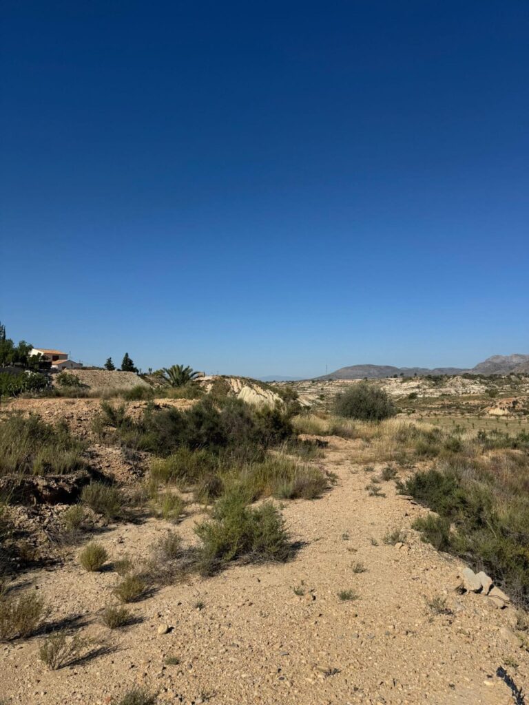 Land w Abanilla - oferta MLSC6071426