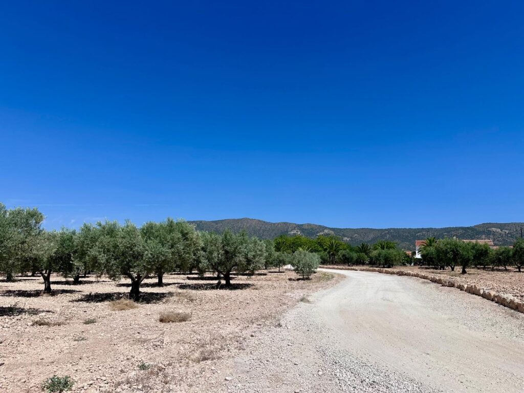 Land w Monóvar/Monóver - oferta MLSC6837435