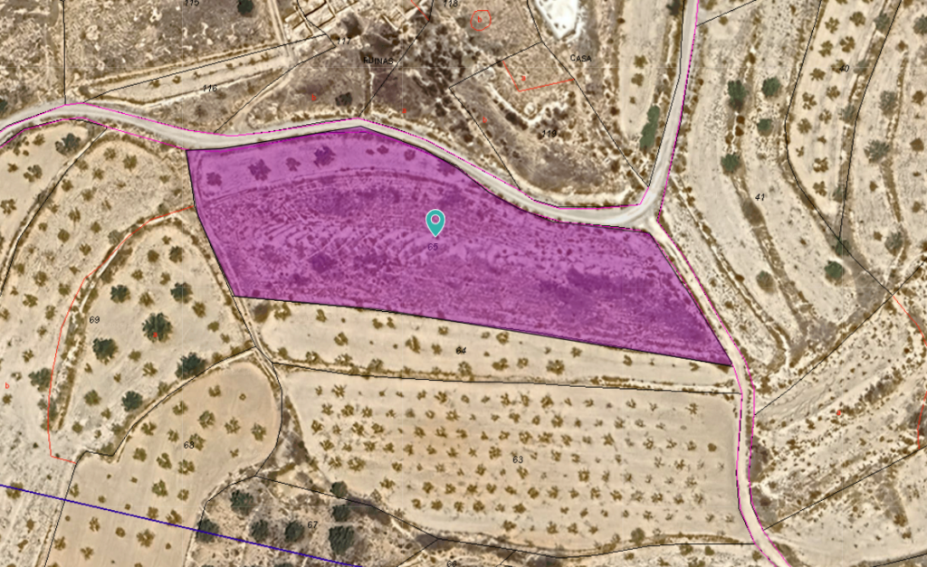 Land w Yecla - oferta MLSC647815