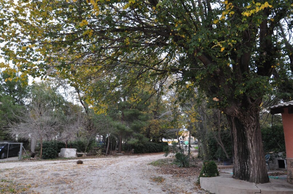 Town House w Pinoso - oferta MLSC1543427