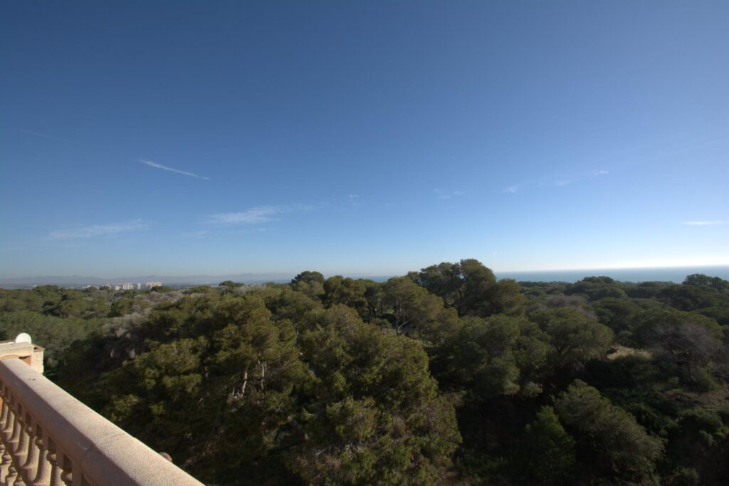 Apartment w Guardamar del Segura - oferta N9905