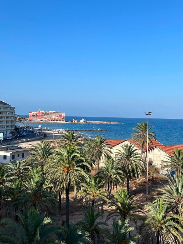 Apartment w Torrevieja - oferta MLSC1594645