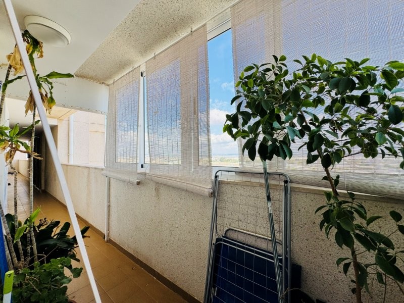Apartment w Torrevieja - oferta MLSC9787762