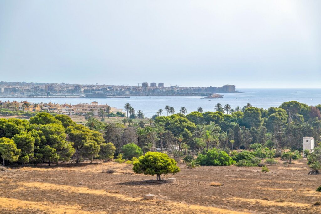 Apartment w Torrevieja - oferta MLSC9963651