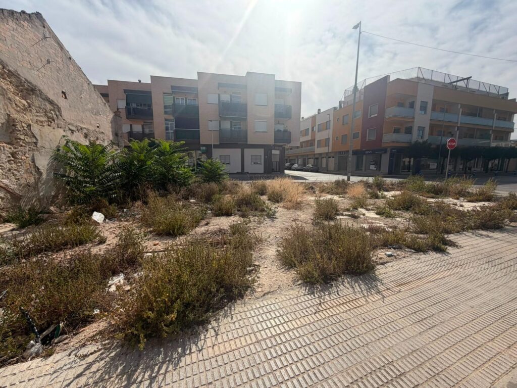 Land w Benejuzar - oferta MLSC6611735