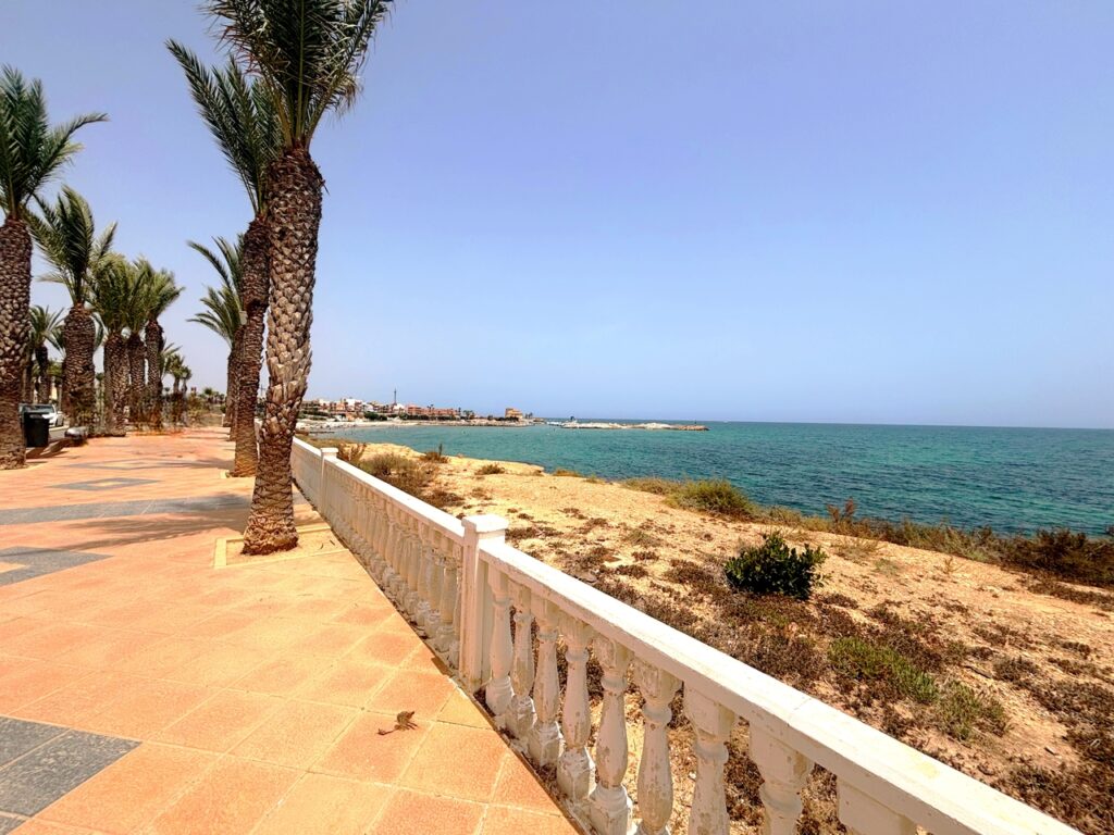 Land w Pilar de La Horadada - oferta MLSC1904368