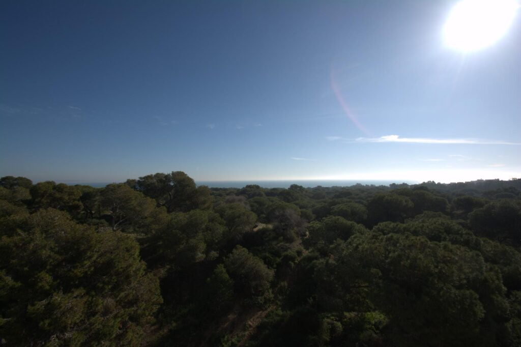 Penthouse w Guardamar del Segura - oferta N9906
