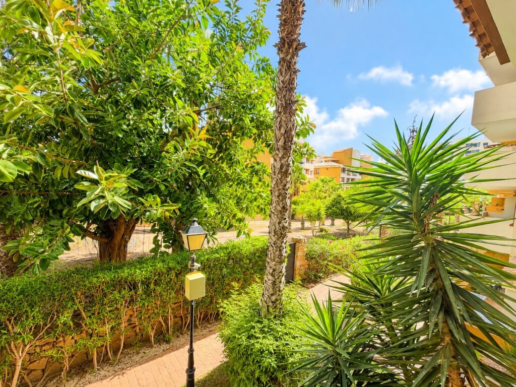 Apartment w Punta Prima - oferta MLSC4173693