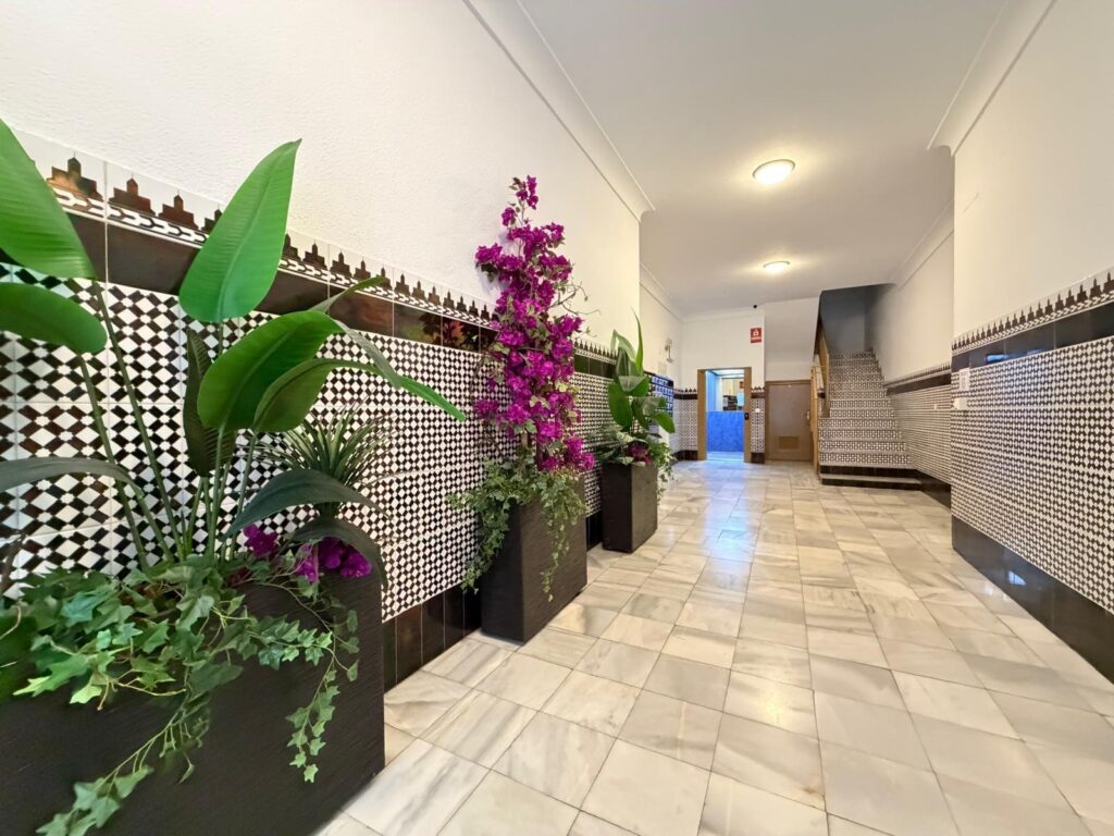Apartment w Torrevieja - oferta MLSC3006354