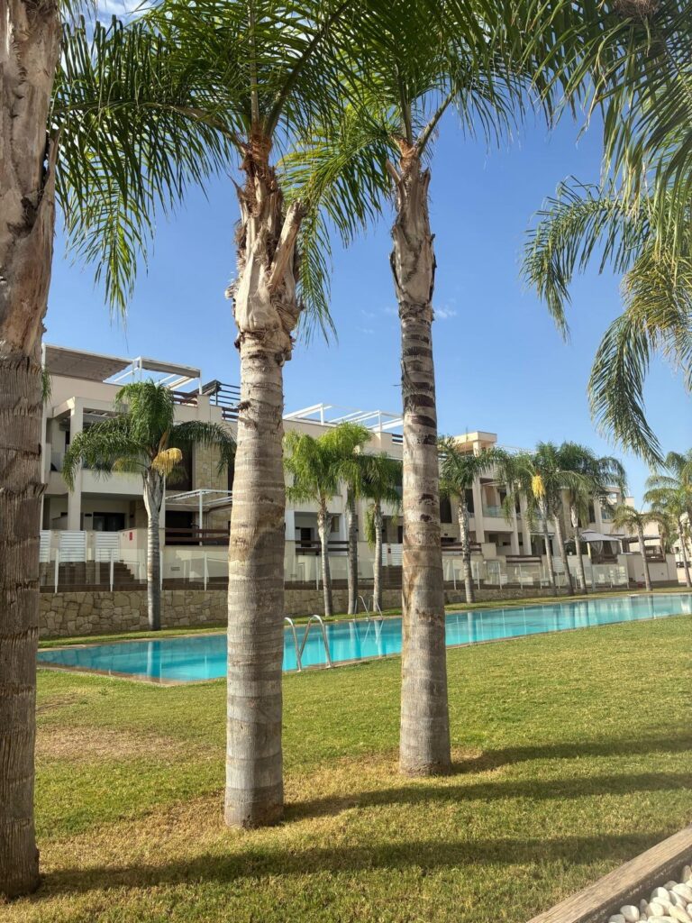 Apartment w Torrevieja - oferta MLSC5611682