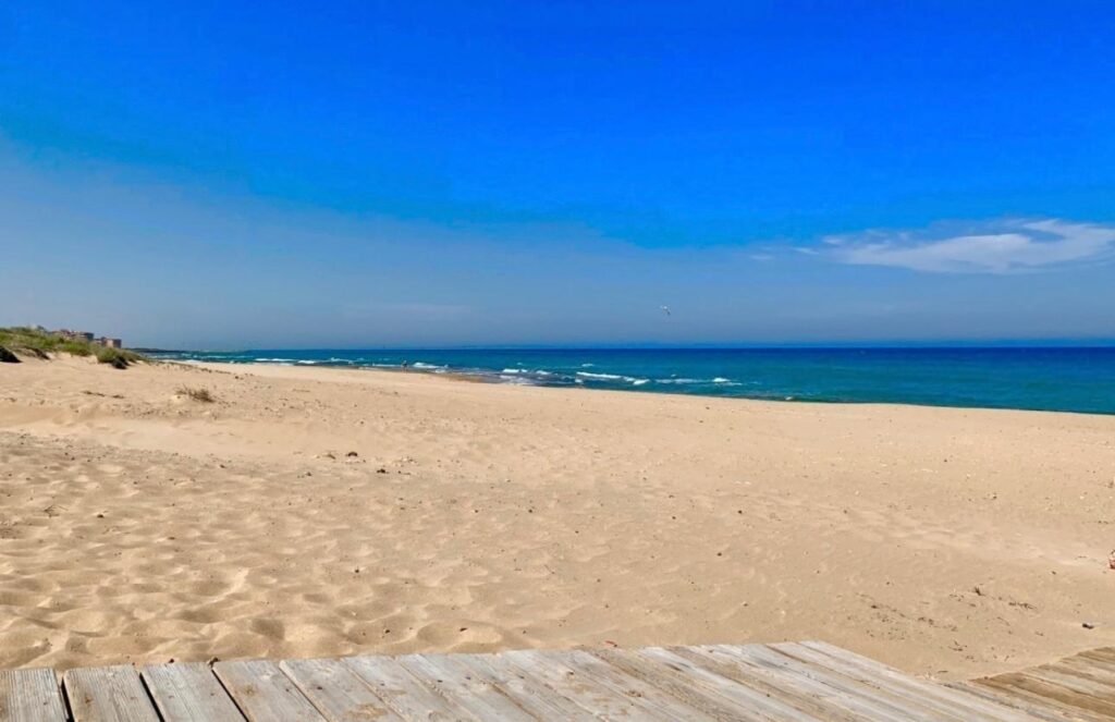 Apartment w Torrevieja - oferta MLSC7764605