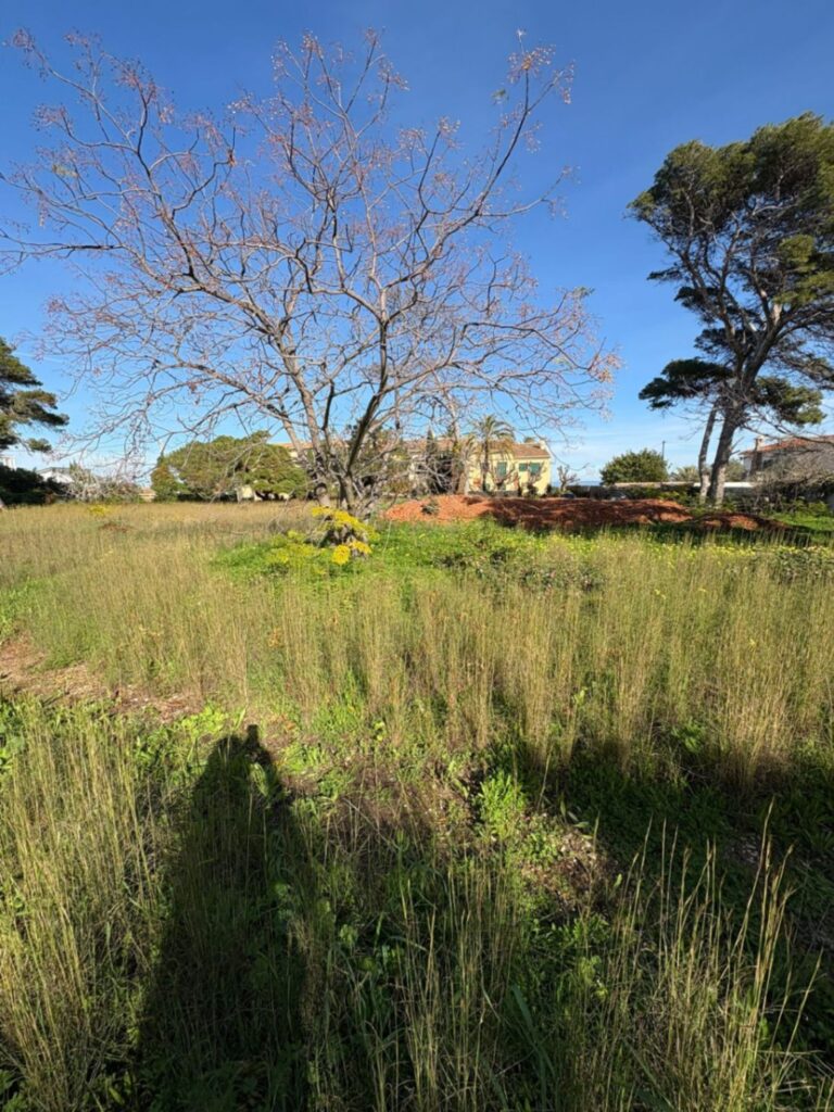 Land w Denia - oferta MLSC8004254