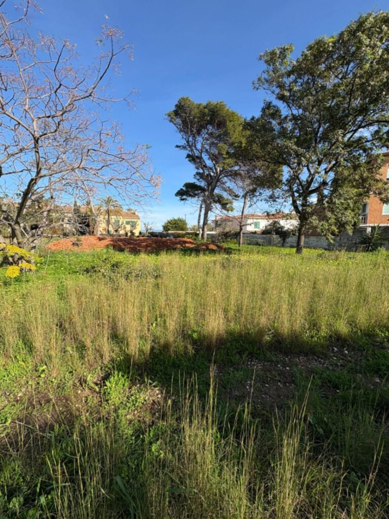 Land w Denia - oferta MLSC8004254