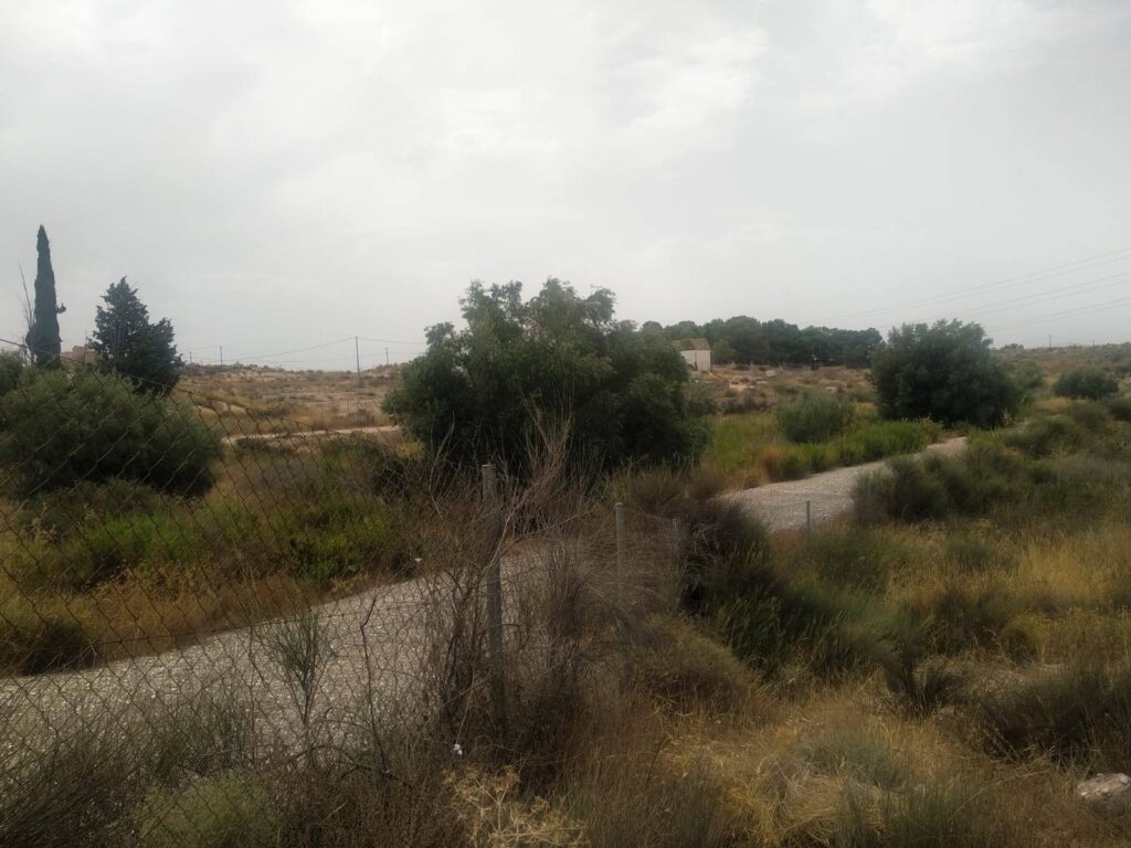 Land w Molina De Segura - oferta MLSC4968341