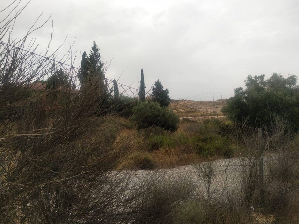 Land w Molina De Segura - oferta MLSC4968341
