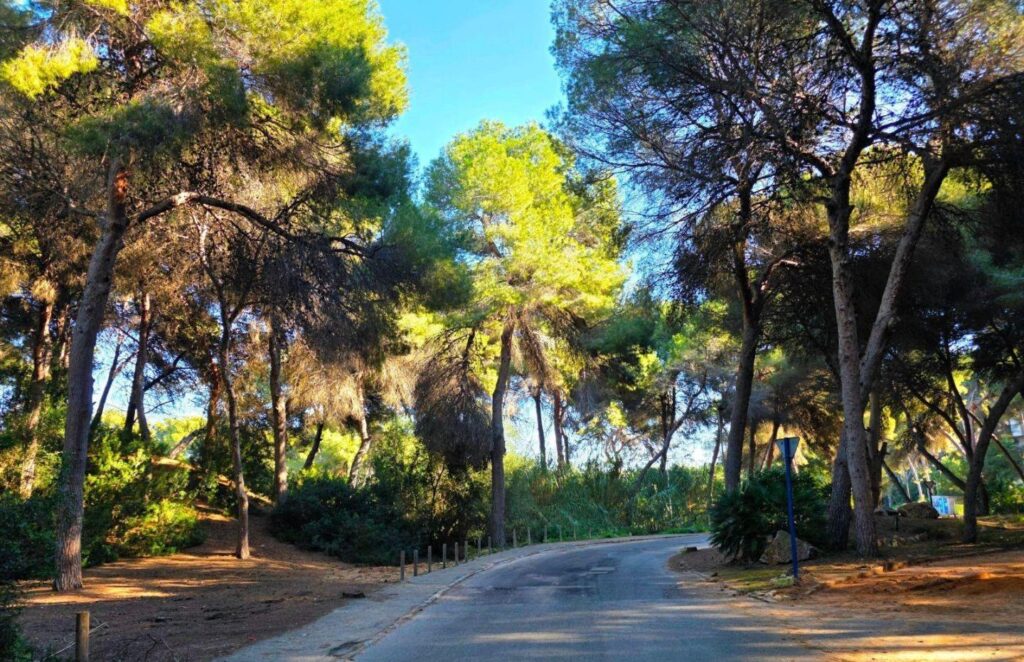 Town House w Orihuela Costa - oferta MLSC5595822