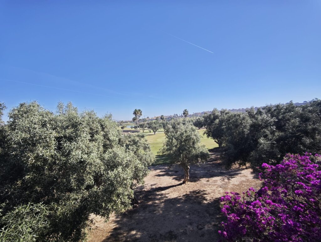 Villa w Algorfa - oferta MLSC6432104