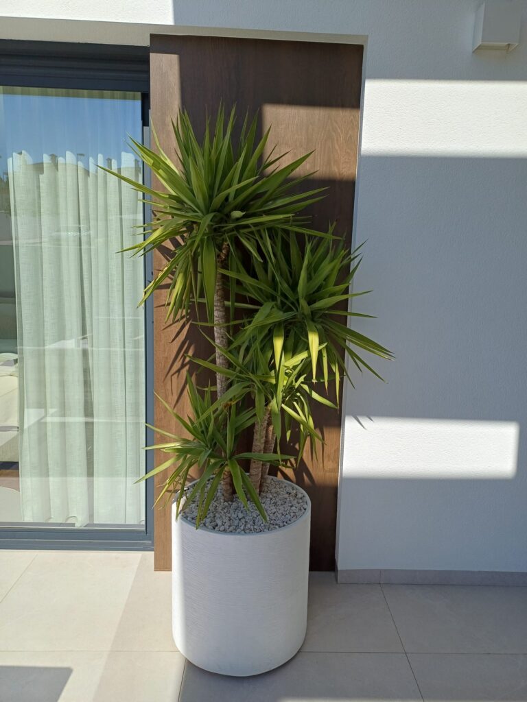 Villa w Rojales - oferta MLSC6836238