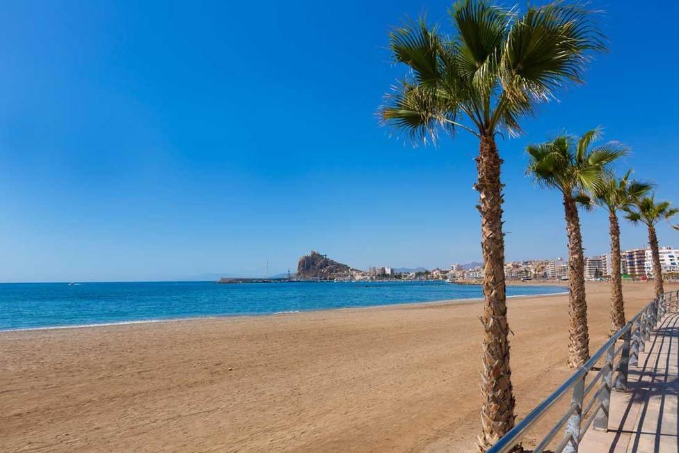 Apartment w Aguilas - oferta N8073