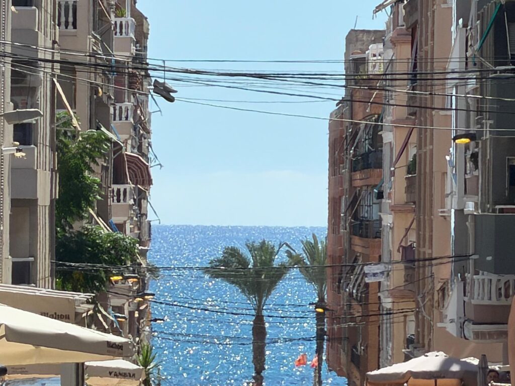Apartment w Torrevieja - oferta MLSC1937291