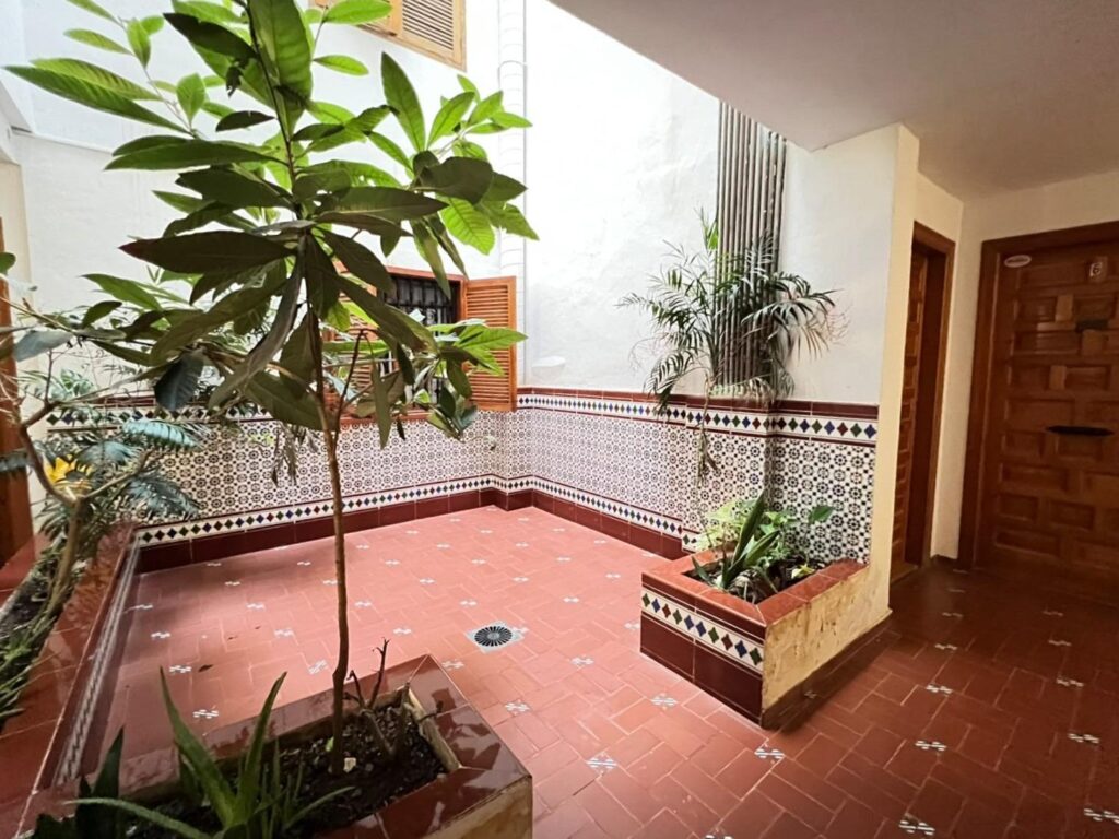 Apartment w Torrevieja - oferta MLSC3505987