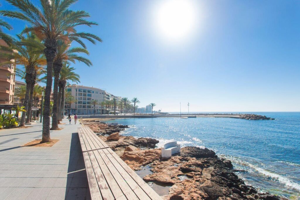 Apartment w Torrevieja - oferta MLSC771089