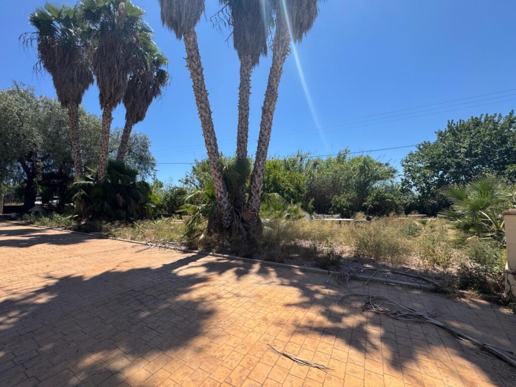 Finca w Dolores - oferta MLSC6559214