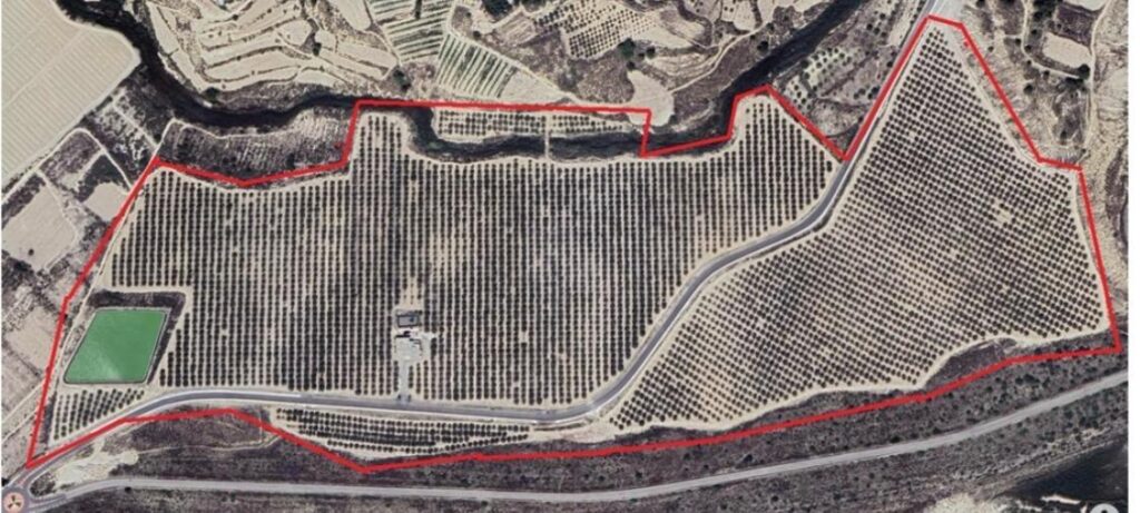 Finca w Orihuela - oferta MLSC5171163
