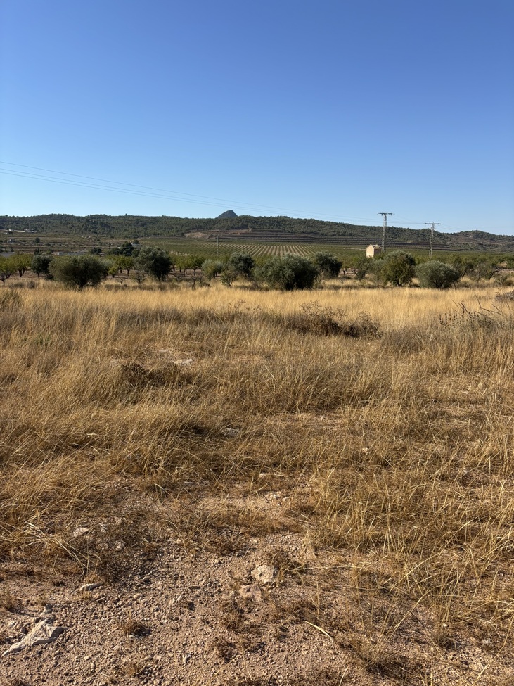 Land w Hondon de los Frailes - oferta MLSC9033478